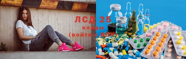 прущие грибы Покров
