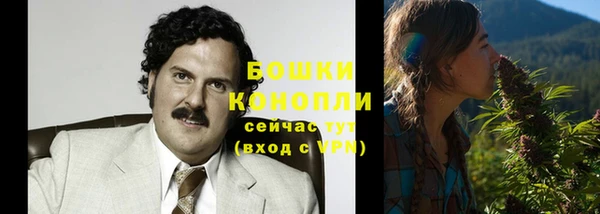 прущие грибы Покров