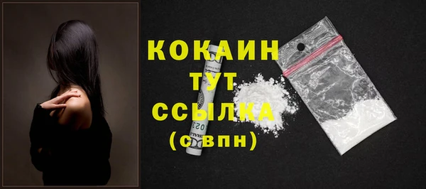 прущие грибы Покров