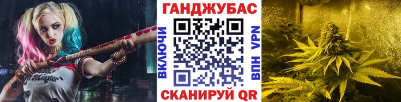 как найти   Адыгейск  Канабис индика 